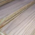 140mm x 22mm Treated Pine Dry Decking