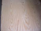 Ply External 2.4 x 1.2 x 12mm