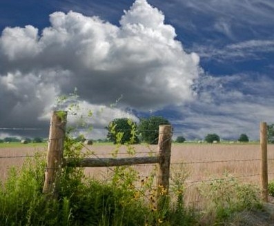 Rural Fencing