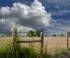 Rural Fencing